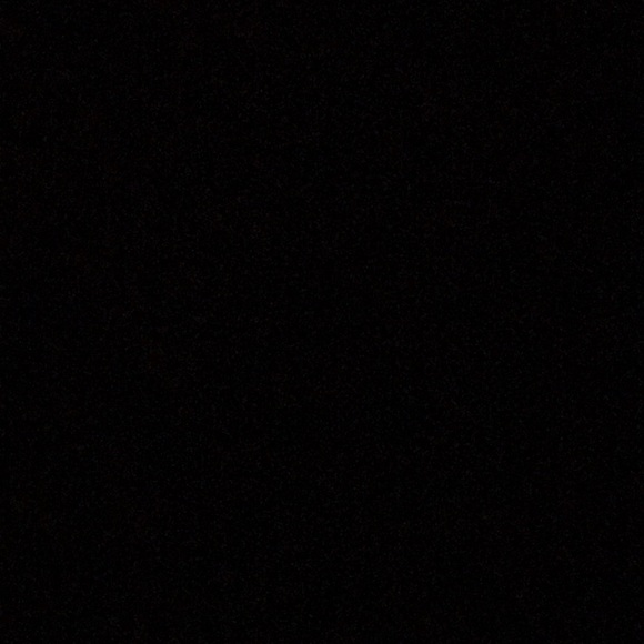 Meet your Posher, Reagan - Picture 1 of 1